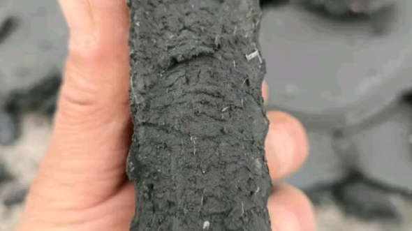 污泥處理與資源化解決方案 設(shè)備、技術(shù)與市場應(yīng)用